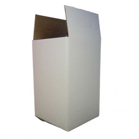 Carton box for 20L flask