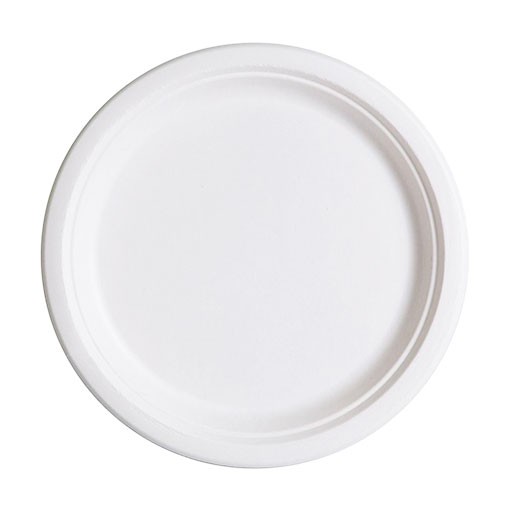 Paper Plates 50pcs